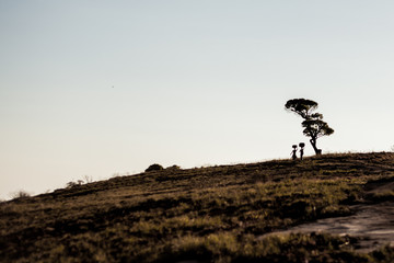 African Women Walking