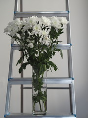 Postcard.Bouquet of white chrysanthemums in a glass vase on the stairs on a gray background.