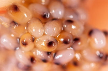 Red caviar in a shrimp as a background