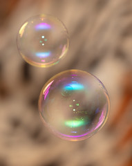 Beautiful soap bubbles fly