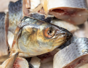 Head of salted herring fish