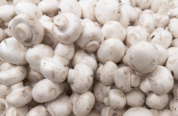 White champignons on a shelf in a store
