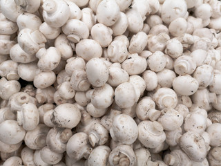White champignons on a shelf in a store