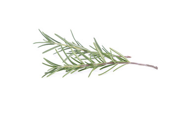 Fototapeta premium Rosemary isolated on white background