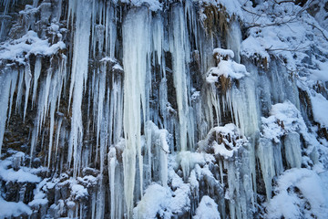 Frozen waterfall in winter. Icicles on the rock.