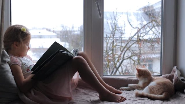 A child reads a book by the window, and a cat sits nearby