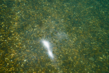 Oil film on the surface of sea water. Oil spill in the sea.