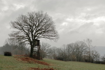 bird watch tower in the walloon belgian hilly area in a misty morning of the ardennes in belgium