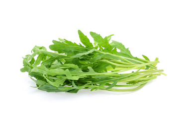 Sweet rucola salad or rocket lettuce leaves isolated on white background