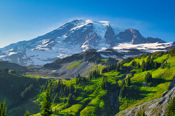 Majestic Mt. Rainier