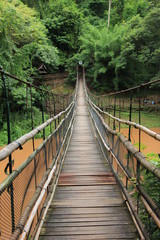 Fototapeta na wymiar bridge over the river in the forest