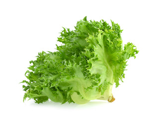 fresh frillice iceberg isolated on white background