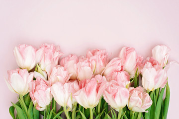 Spring greeting card template of fresh flowers of pink tulips for Mother's Day, Birthday, Easter, Women's Day. Frame of flowers. Copy space. Soft selective focus.