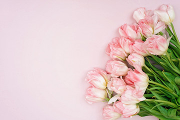 Spring greeting card template of fresh flowers of pink tulips for Mother's Day, Birthday, Easter, Women's Day. Copy space. Soft selective focus.