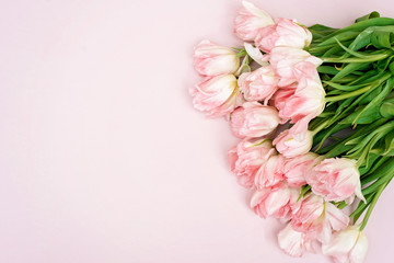 Spring greeting card template of fresh flowers of pink tulips for Mother's Day, Birthday, Easter, Women's Day. Copy space. Soft selective focus.