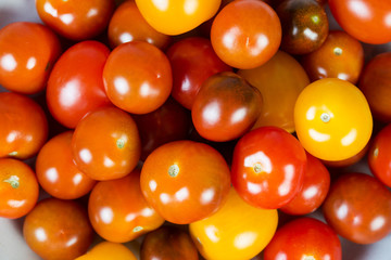 Lots of little colored cherry tomatoes . Close- up, top view.