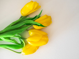 Yellow tulips lie on a white background, greeting card with free space for text