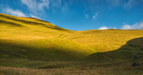 Green fluffy valley with grass and blue sky on a sunny day