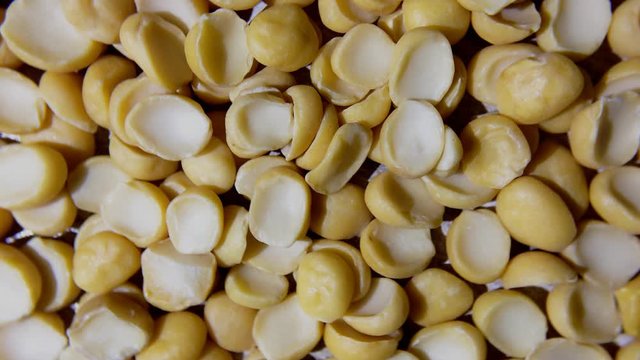 yellow split dried peas macro shot Rotating Turning
