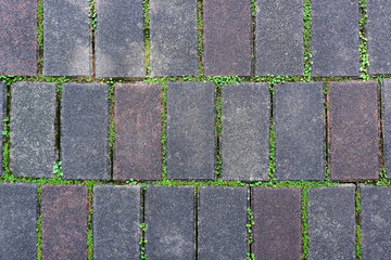 Sidewalk Blocks with Green Grass