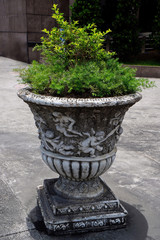 Vintage White Decorative Plant Pot on Sidewalk