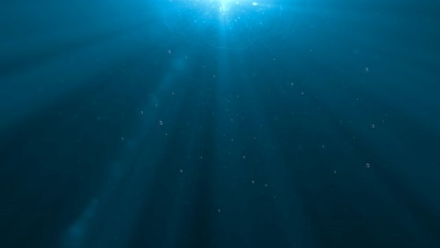 穏やかな水の中
