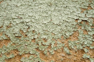Old green painted crumbling particle board on wall closeup