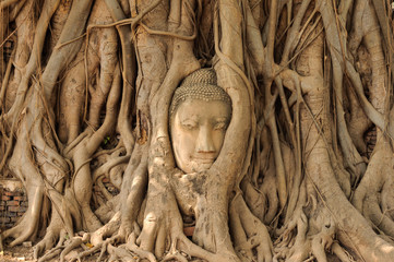Lord Buddha  face of vihara Wat Phra Mahathat   Ayutthaya in Thailand,Public place allowing shooting for travel and worship