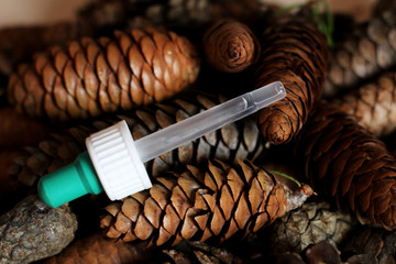 Pipette with medicine or natural extract. Pine cone.