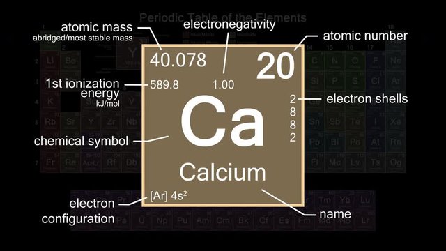 Periodic table focusing on Calcium with properties, animation, 4K 30 fps