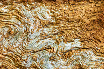 Old wood Texture With Natural Pattern