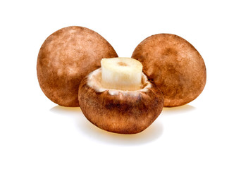 Fresh Mushrooms isolated on white background