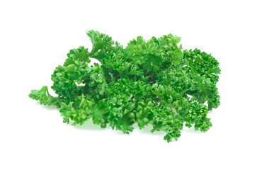 Fresh green leaves of pasley isolated on white background.