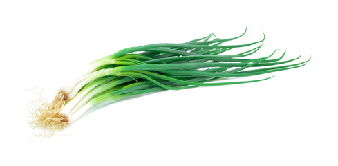 fresh green onion isolated on white background