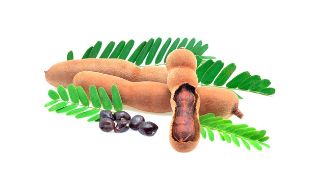 Tamarind and with leaf isolated on white background.