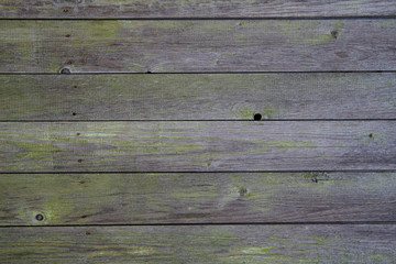 Fototapeta premium Backgrounds and textures natural wood