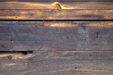 Obraz premium Backgrounds and textures natural wood