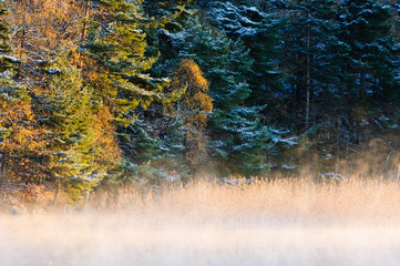 Fototapety  Jesienny poranek nad jeziorem, Szwecja