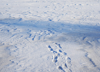 White snow and clear ice. Background