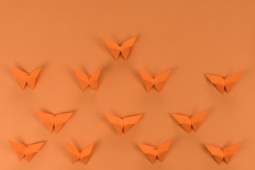 Orange origami butterfly, on orange background.