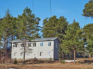 two-story house in a pine forest. Spring