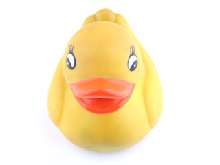 yellow rubber duck on a white background