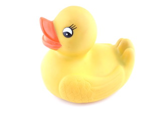 yellow rubber duck on a white background