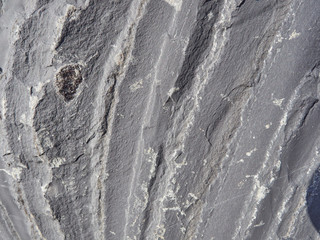 granite stone close up. background