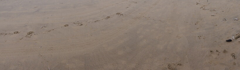 Traces in the sand, the traces of horse hooves immediately catch the eye, but footprints of humans, animals and wheeled vehicles can also be seen.