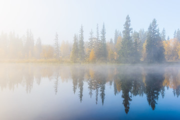 Misty lake and forest reflection, Dalarna, Sweden