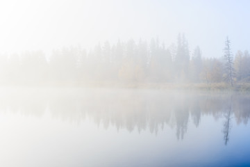 Tree reflected on lake at misty morning, Sweden.