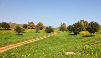 Fototapeta na wymiar The rural footpath crosses a meadow