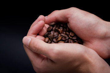 Coffee beans in the hands of a man on a dark background, close-up of bean picking
