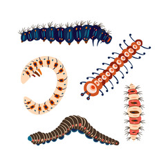 Set spring and summer colorful caterpillars. Pretty caterpillars different silhouette on white background. For festive card, banner, children, pattern, tattoo, decorative, concept. Vector illustration